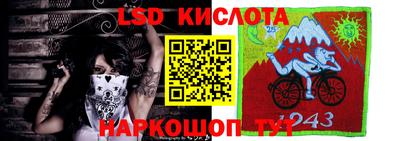 ПСИЛОЦИБИНОВЫЕ ГРИБЫ Камень-на-Оби