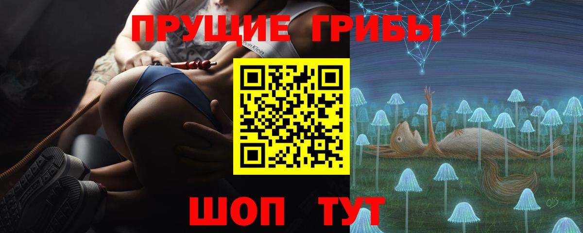Богданович  Галлюциногенные грибы Magic Shrooms  Вход с VPN  Галлюциногенные грибы ЛСД 