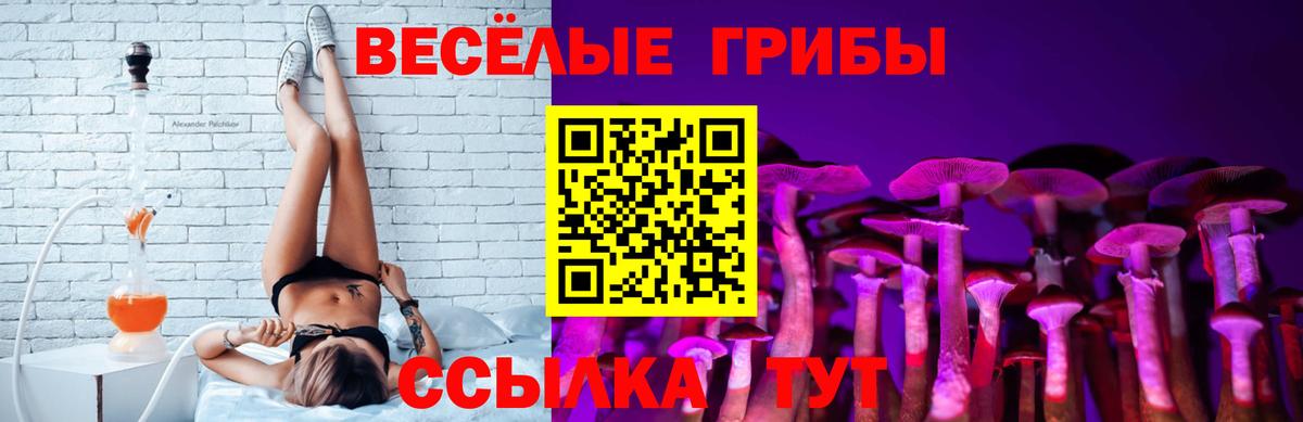Галлюциногенные грибы MAGIC MUSHROOMS Богданович
